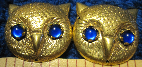 Owl Faces<br>w/Blue Eyes